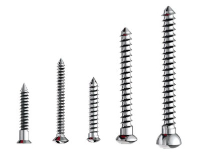 Bone Screws 4549 0